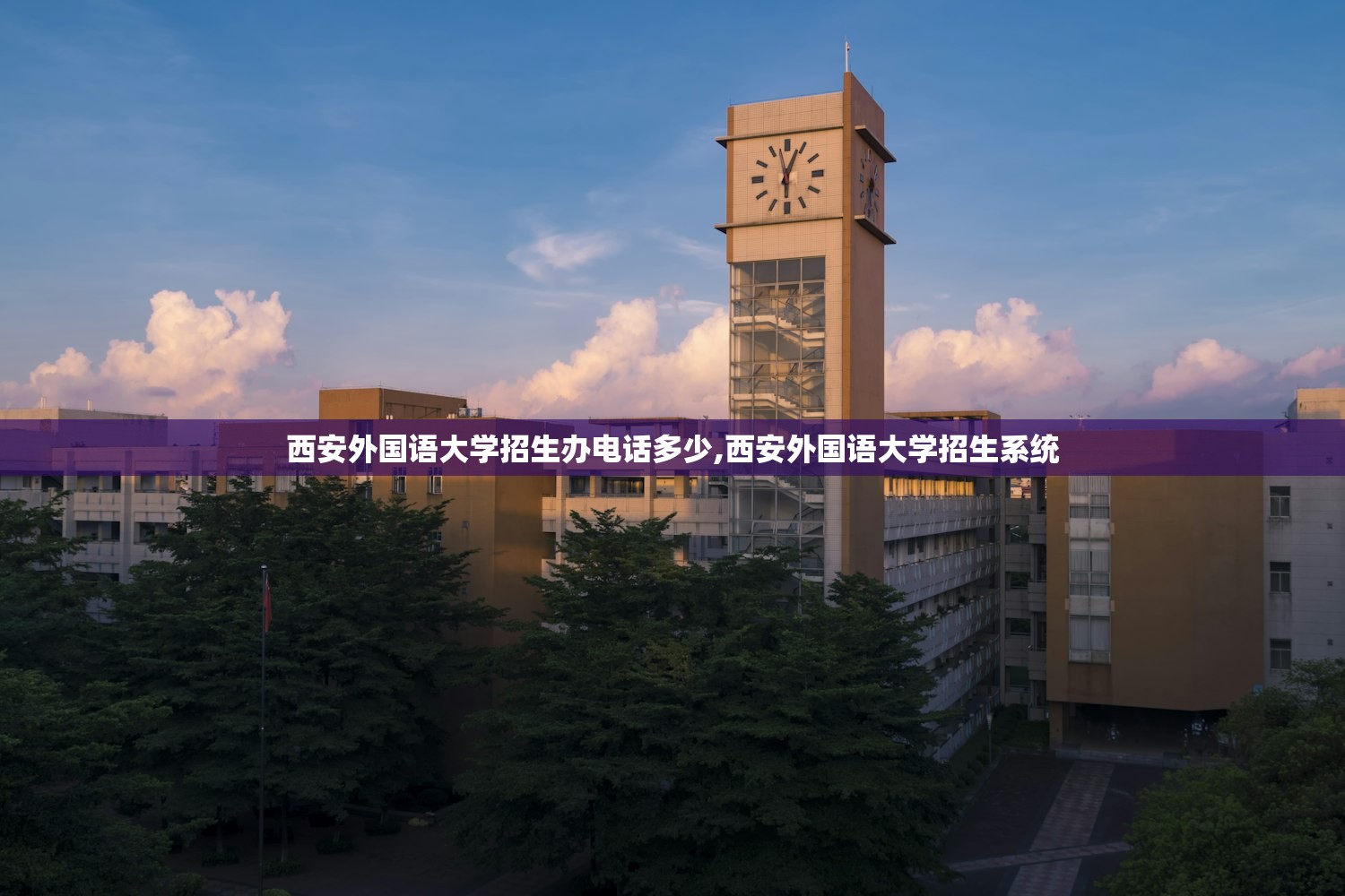 西安外国语大学招生办电话多少,西安外国语大学招生系统
