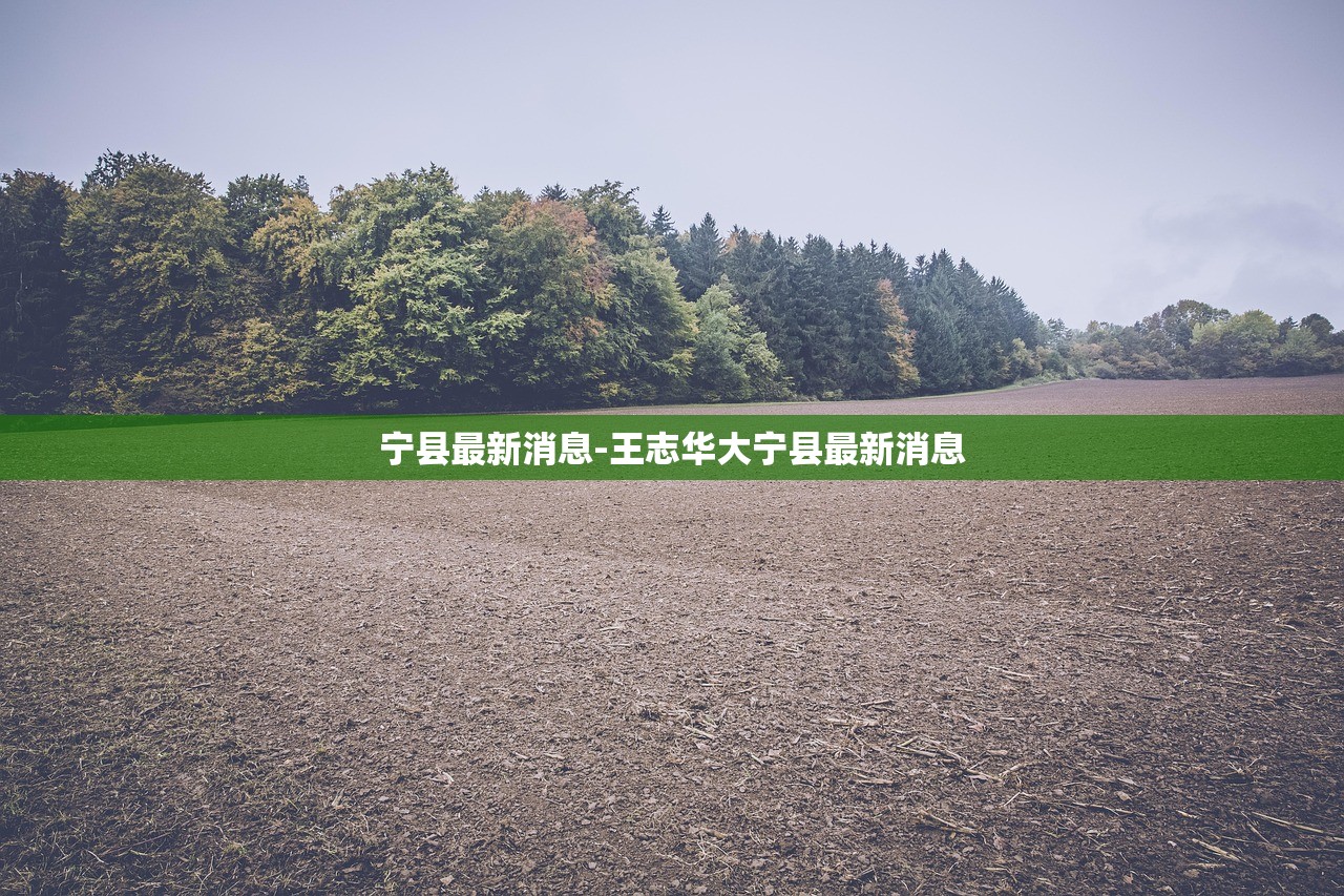 宁县最新消息-王志华大宁县最新消息 宁县最新消息-王志华大宁县最新消息
