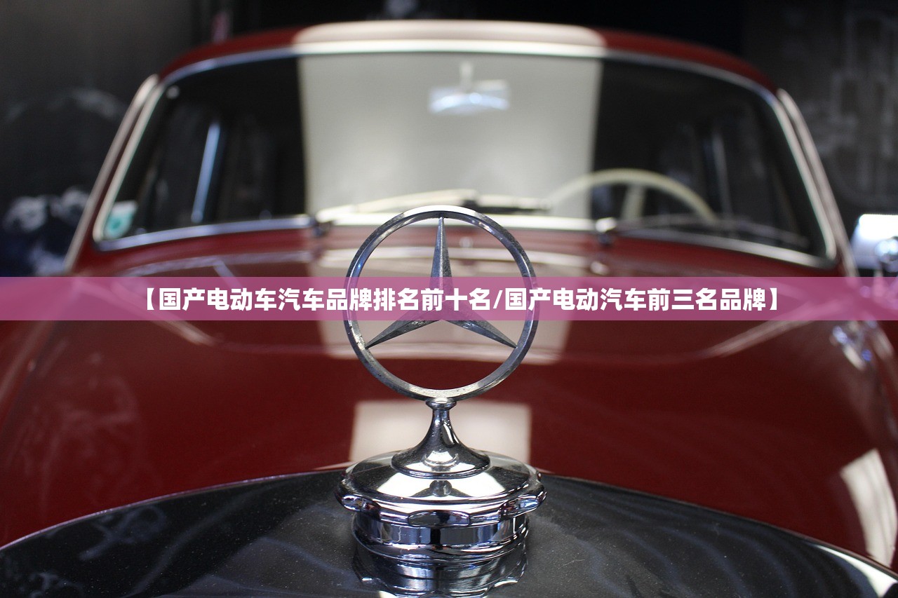 【国产电动车汽车品牌排名前十名/国产电动汽车前三名品牌】 【国产电动车汽车品牌排名前十名/国产电动汽车前三名品牌】