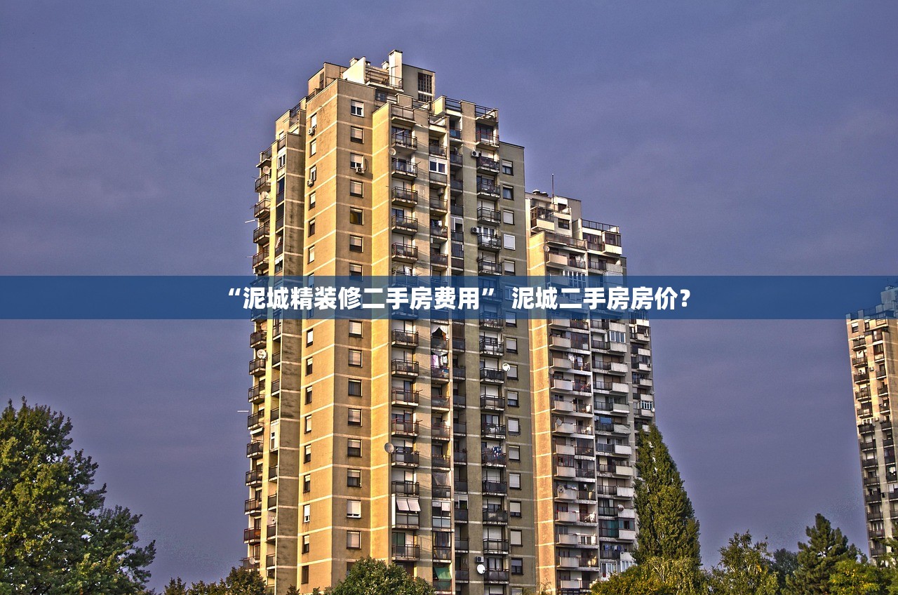 “泥城精装修二手房费用” 泥城二手房房价？