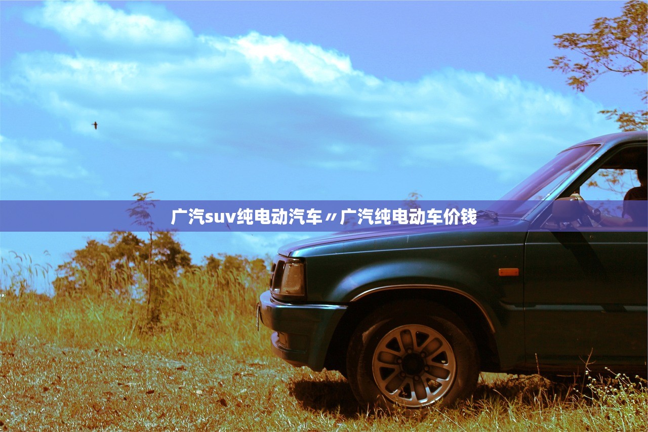广汽suv纯电动汽车〃广汽纯电动车价钱 广汽suv纯电动汽车〃广汽纯电动车价钱