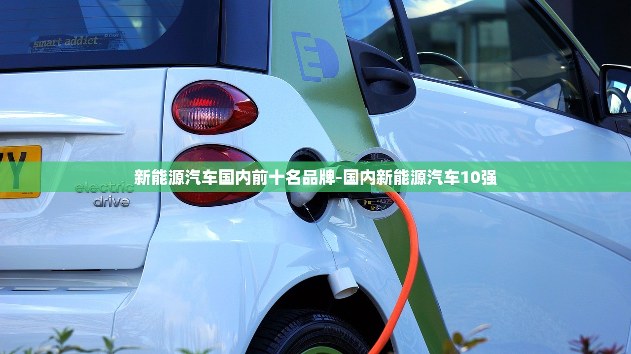 新能源汽车国内前十名品牌-国内新能源汽车10强