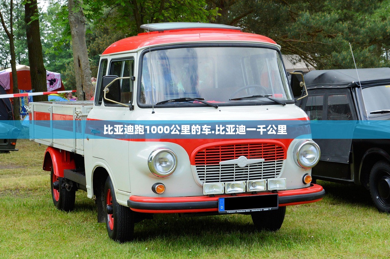 比亚迪跑1000公里的车.比亚迪一千公里 比亚迪跑1000公里的车.比亚迪一千公里