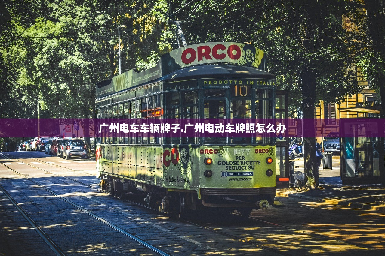 广州电车车辆牌子.广州电动车牌照怎么办