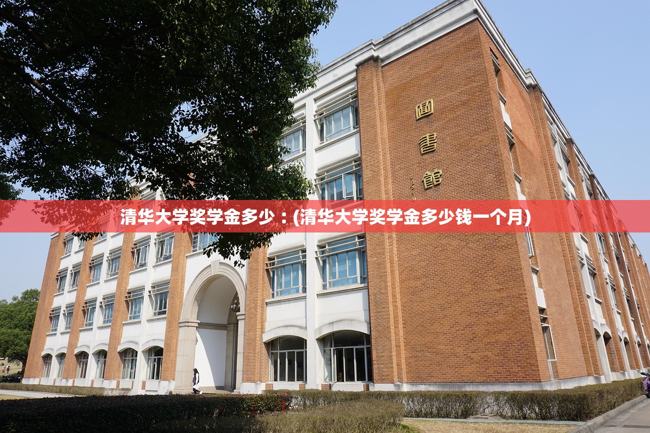 清华大学奖学金多少︰(清华大学奖学金多少钱一个月)
