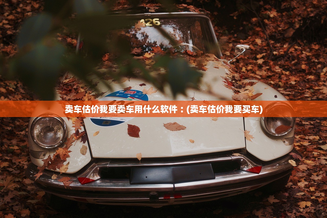 卖车估价我要卖车用什么软件︰(卖车估价我要买车)