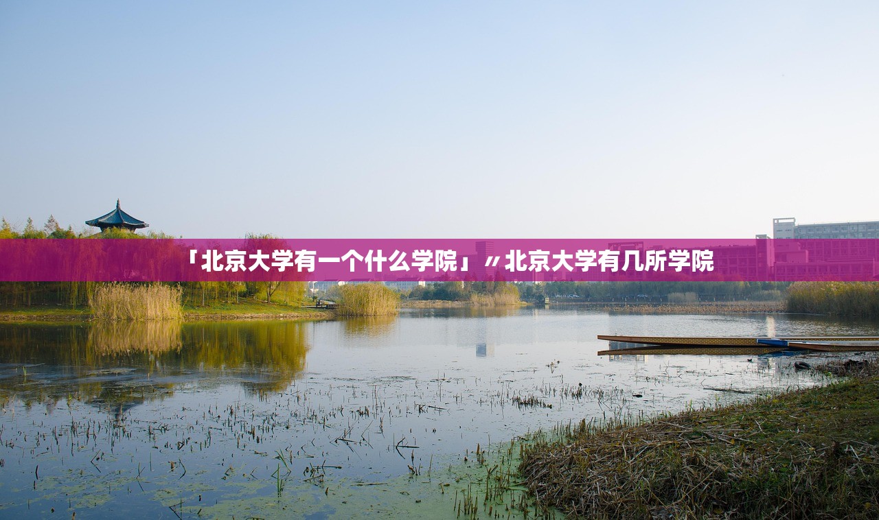 「北京大学有一个什么学院」〃北京大学有几所学院 「北京大学有一个什么学院」〃北京大学有几所学院