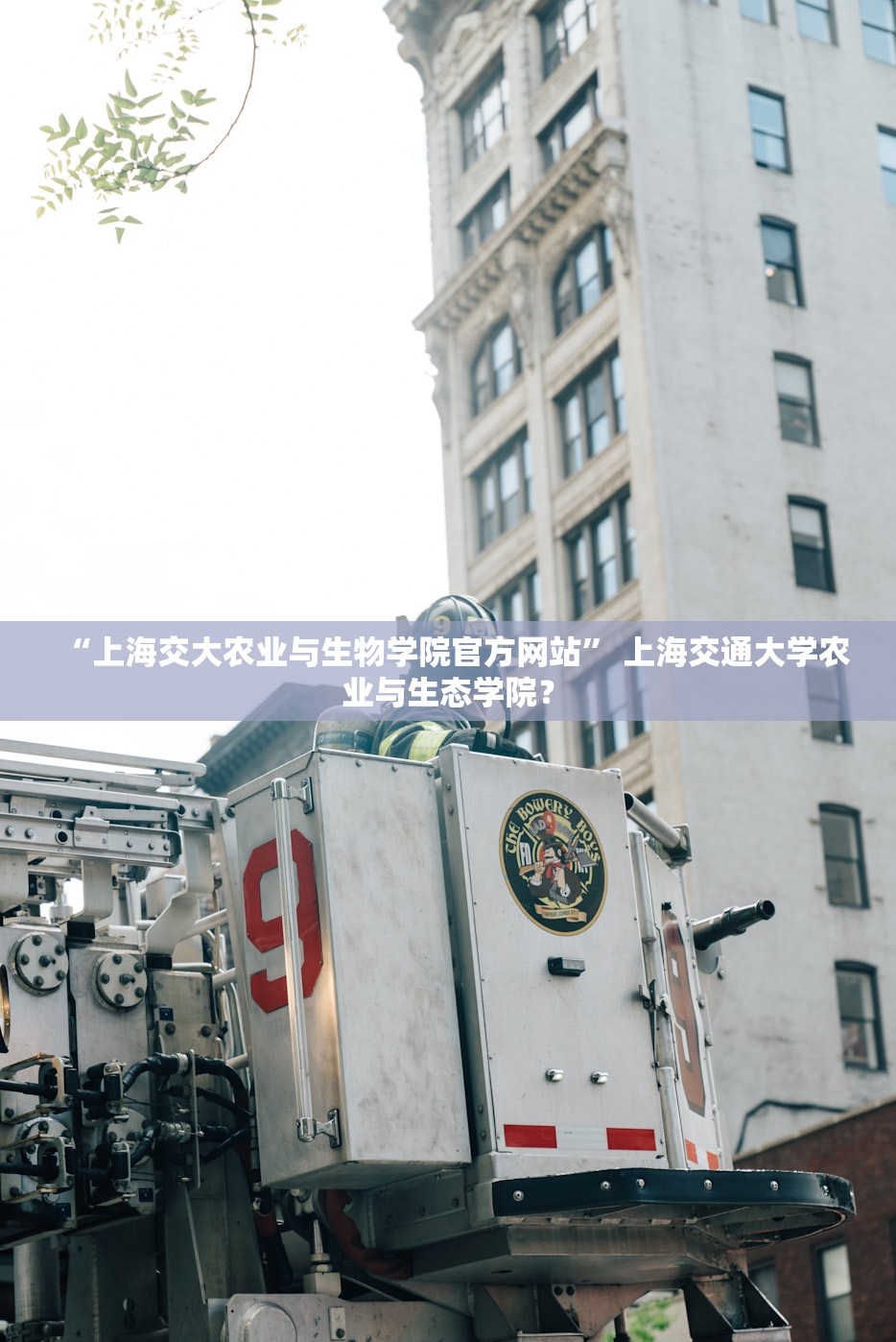 “上海交大农业与生物学院官方网站	” 上海交通大学农业与生态学院？
