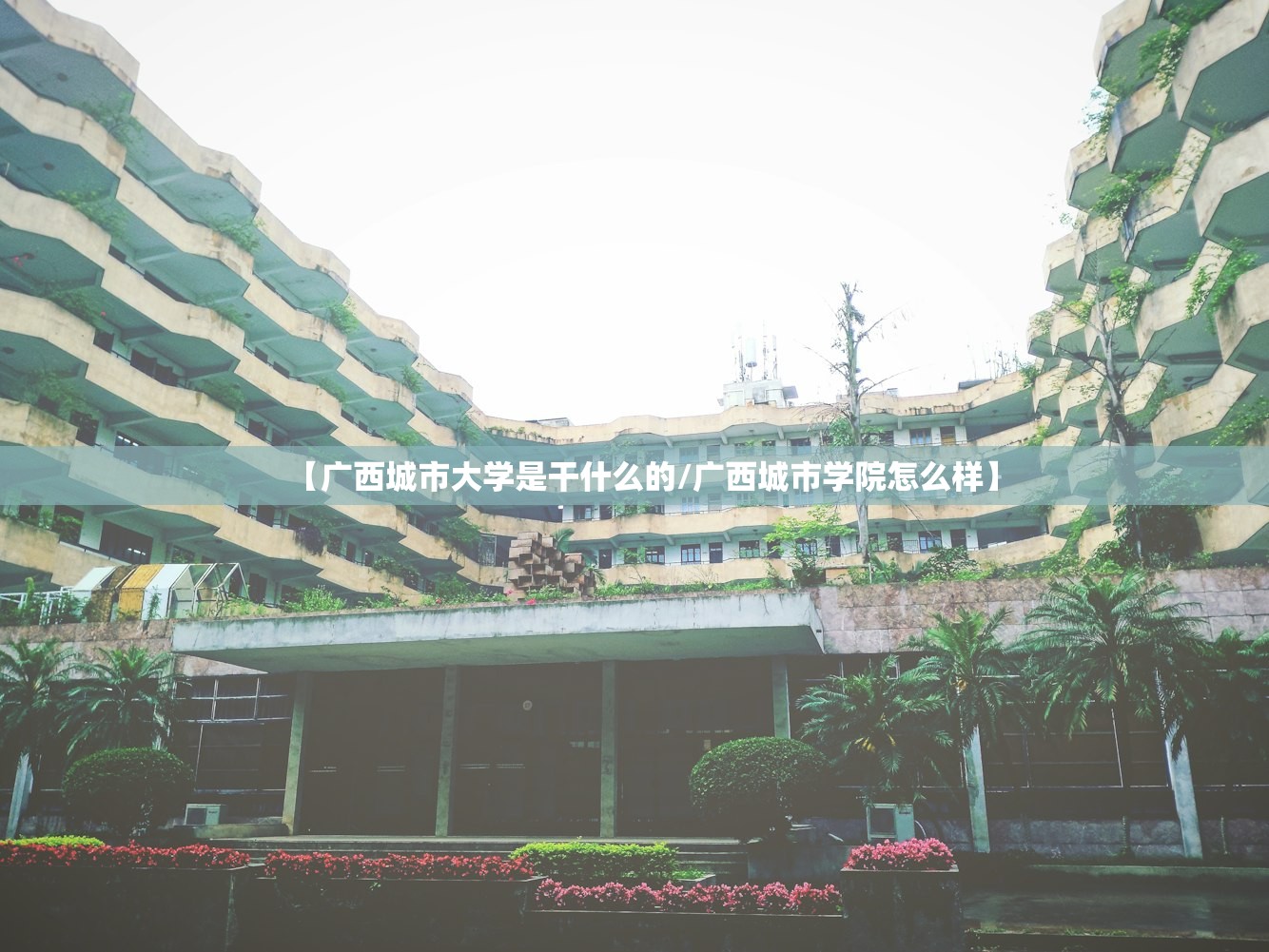 【广西城市大学是干什么的/广西城市学院怎么样】 【广西城市大学是干什么的/广西城市学院怎么样】