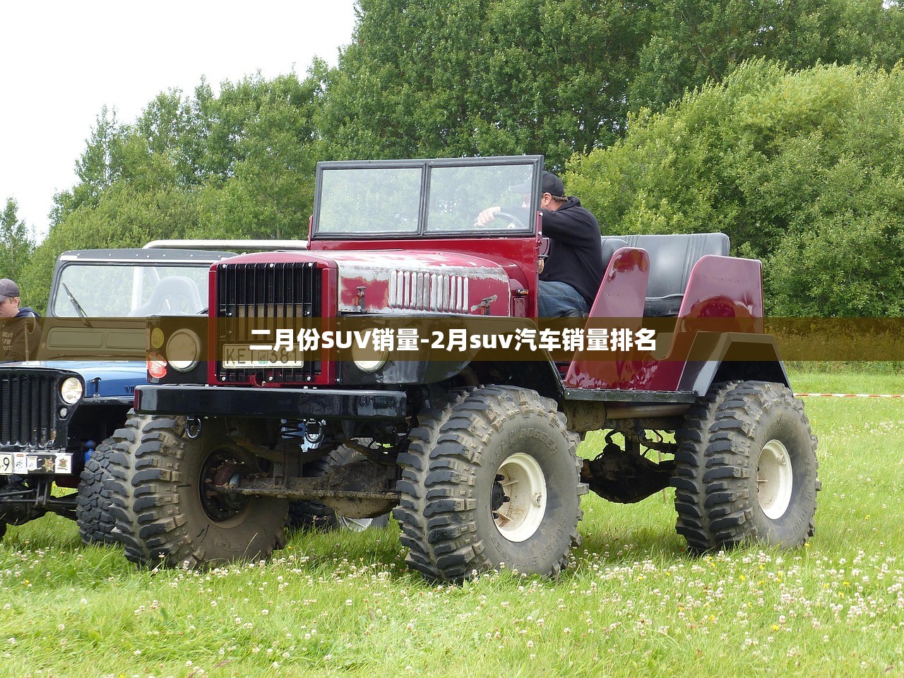 二月份SUV销量-2月suv汽车销量排名