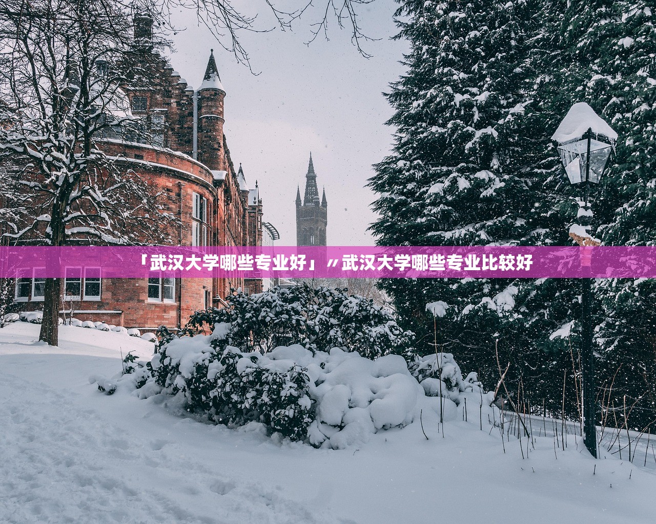 「武汉大学哪些专业好」〃武汉大学哪些专业比较好 「武汉大学哪些专业好」〃武汉大学哪些专业比较好