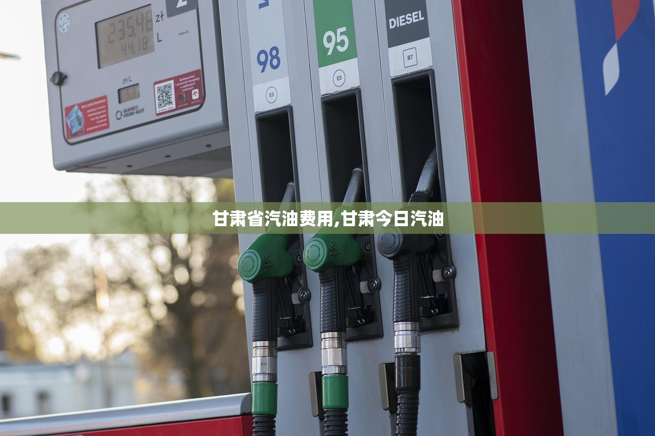 甘肃省汽油费用,甘肃今日汽油 甘肃省汽油费用,甘肃今日汽油