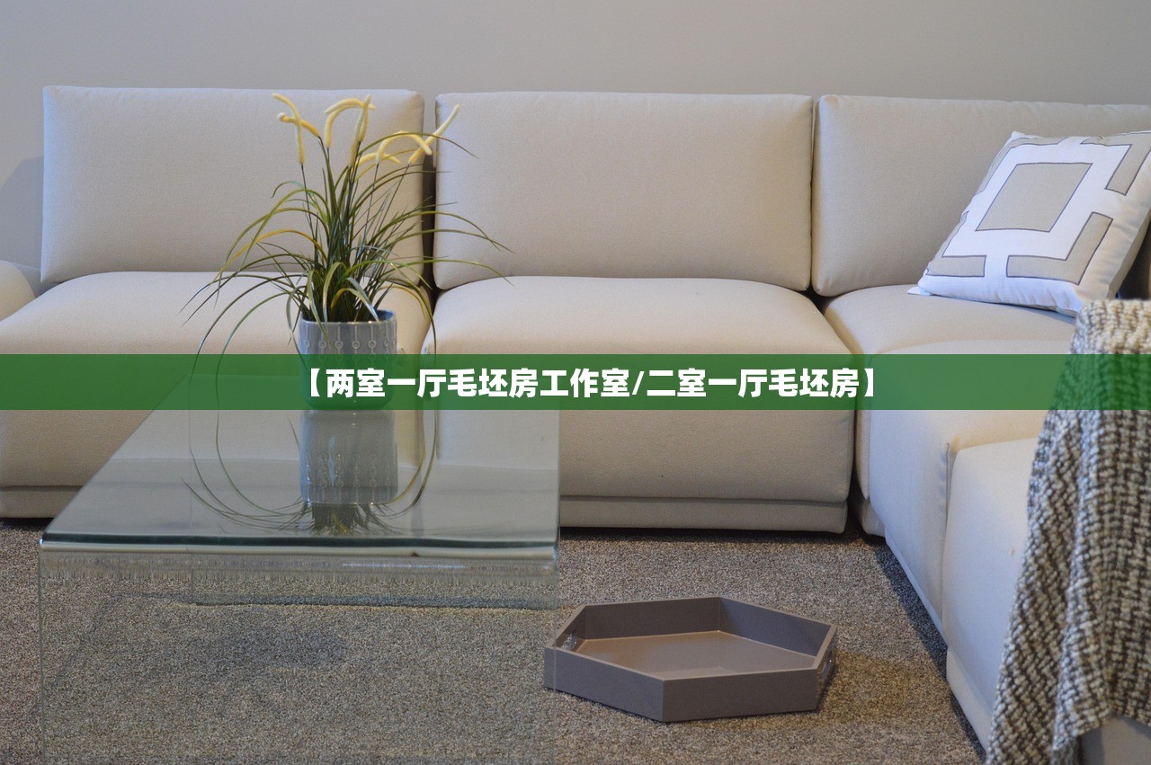 【两室一厅毛坯房工作室/二室一厅毛坯房】 【两室一厅毛坯房工作室/二室一厅毛坯房】
