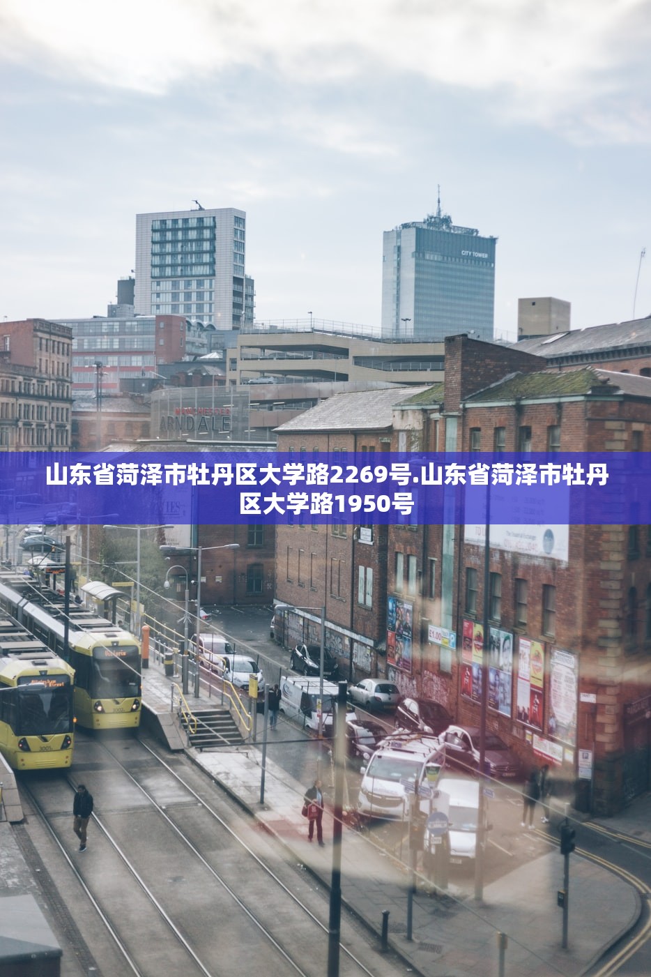 山东省菏泽市牡丹区大学路2269号.山东省菏泽市牡丹区大学路1950号 山东省菏泽市牡丹区大学路2269号.山东省菏泽市牡丹区大学路1950号