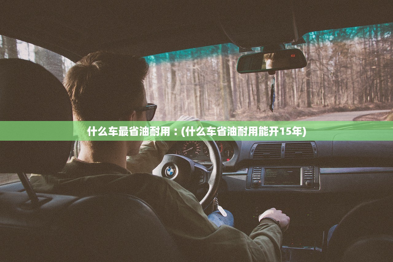 什么车最省油耐用︰(什么车省油耐用能开15年)