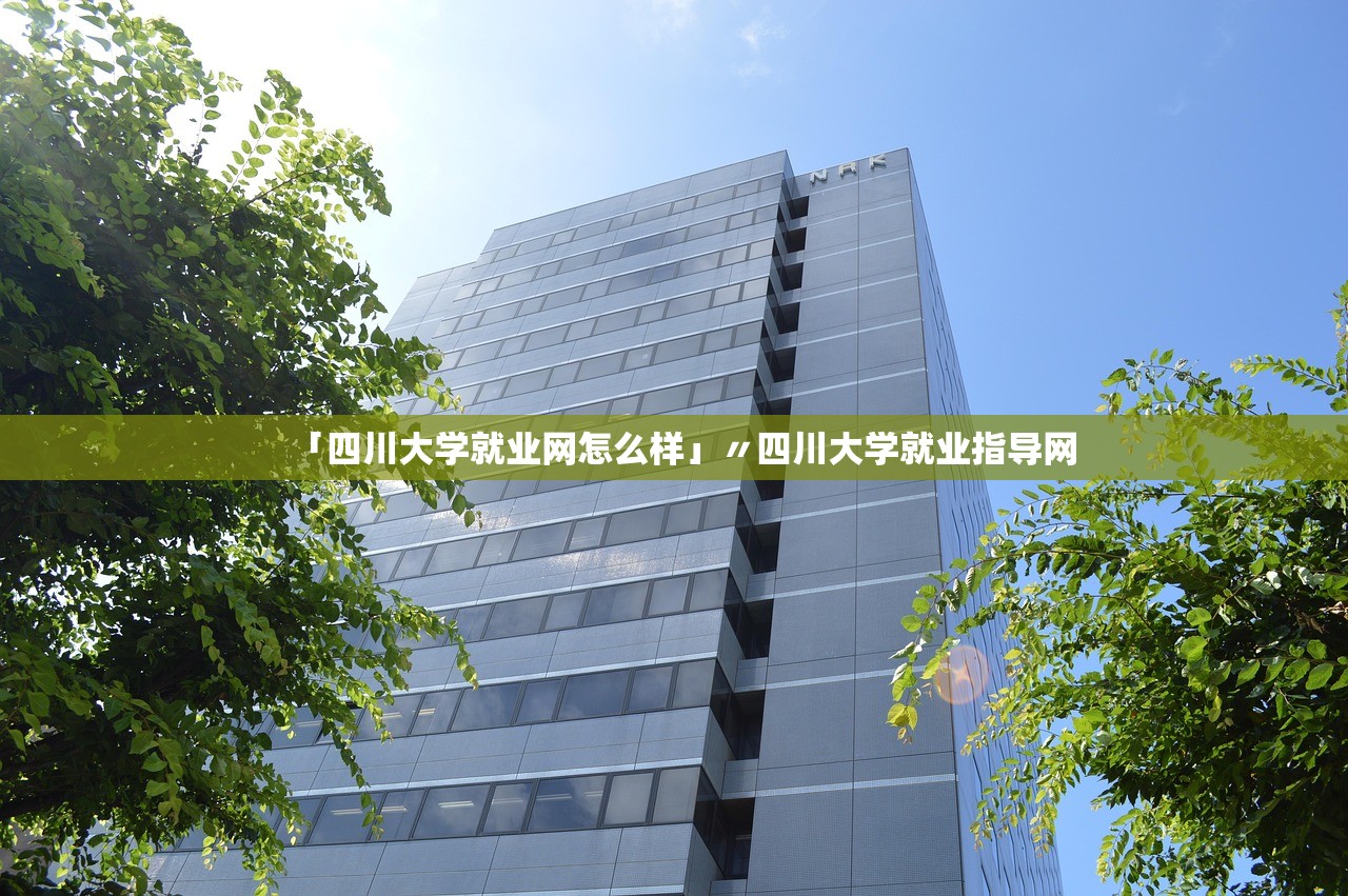 「四川大学就业网怎么样」〃四川大学就业指导网