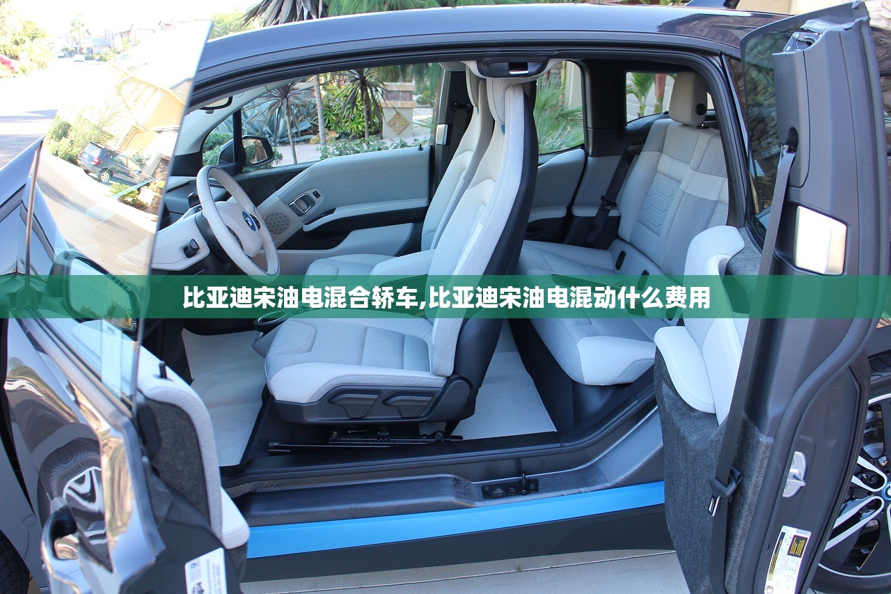 比亚迪宋油电混合轿车,比亚迪宋油电混动什么费用