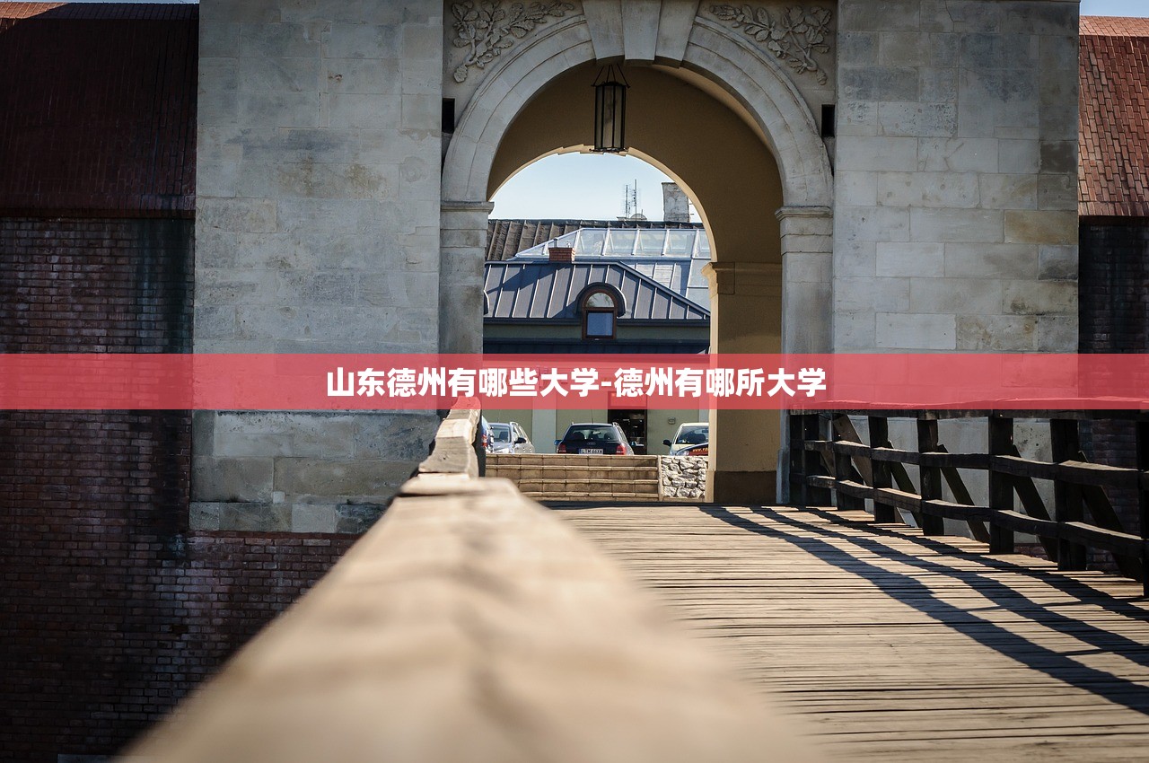山东德州有哪些大学-德州有哪所大学 山东德州有哪些大学-德州有哪所大学