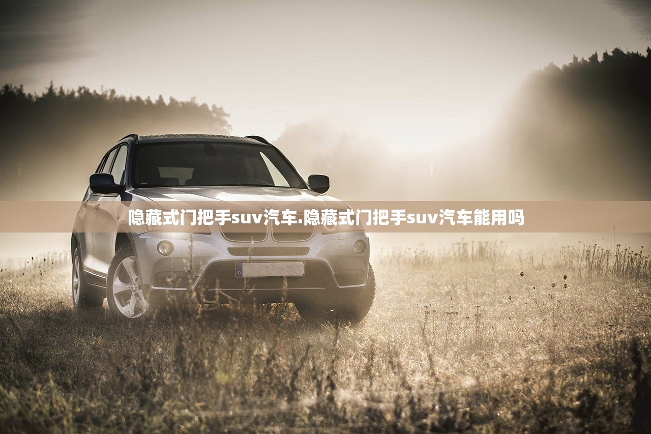 隐藏式门把手suv汽车.隐藏式门把手suv汽车能用吗 隐藏式门把手suv汽车.隐藏式门把手suv汽车能用吗