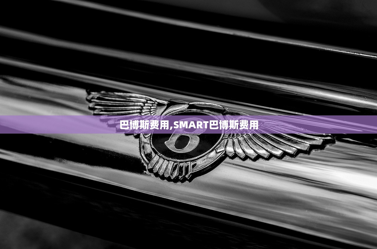 巴博斯费用,SMART巴博斯费用 巴博斯费用,SMART巴博斯费用