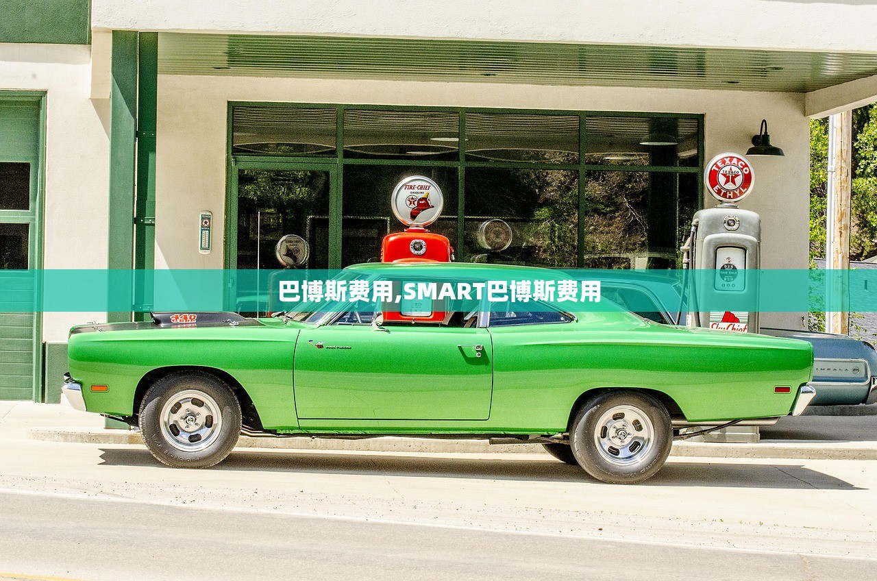 巴博斯费用,SMART巴博斯费用 巴博斯费用,SMART巴博斯费用