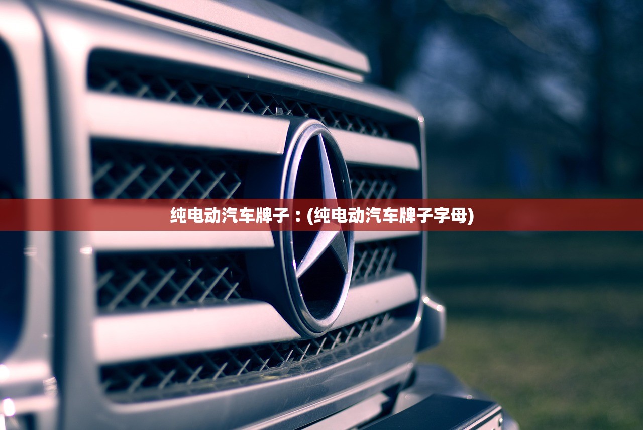 纯电动汽车牌子︰(纯电动汽车牌子字母)