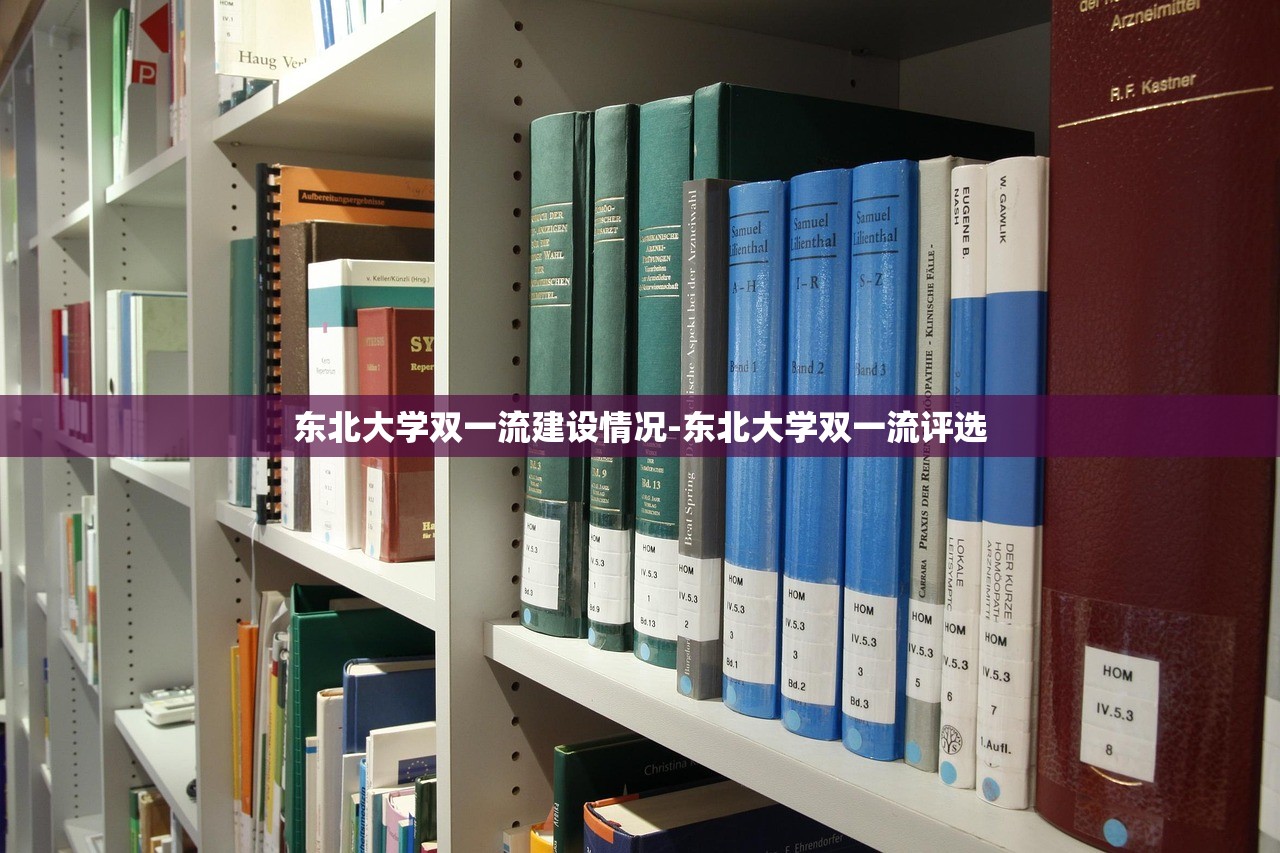 东北大学双一流建设情况-东北大学双一流评选 东北大学双一流建设情况-东北大学双一流评选
