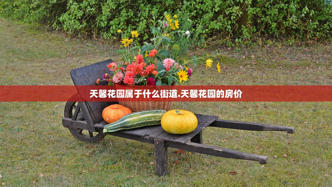 天馨花园属于什么街道.天馨花园的房价