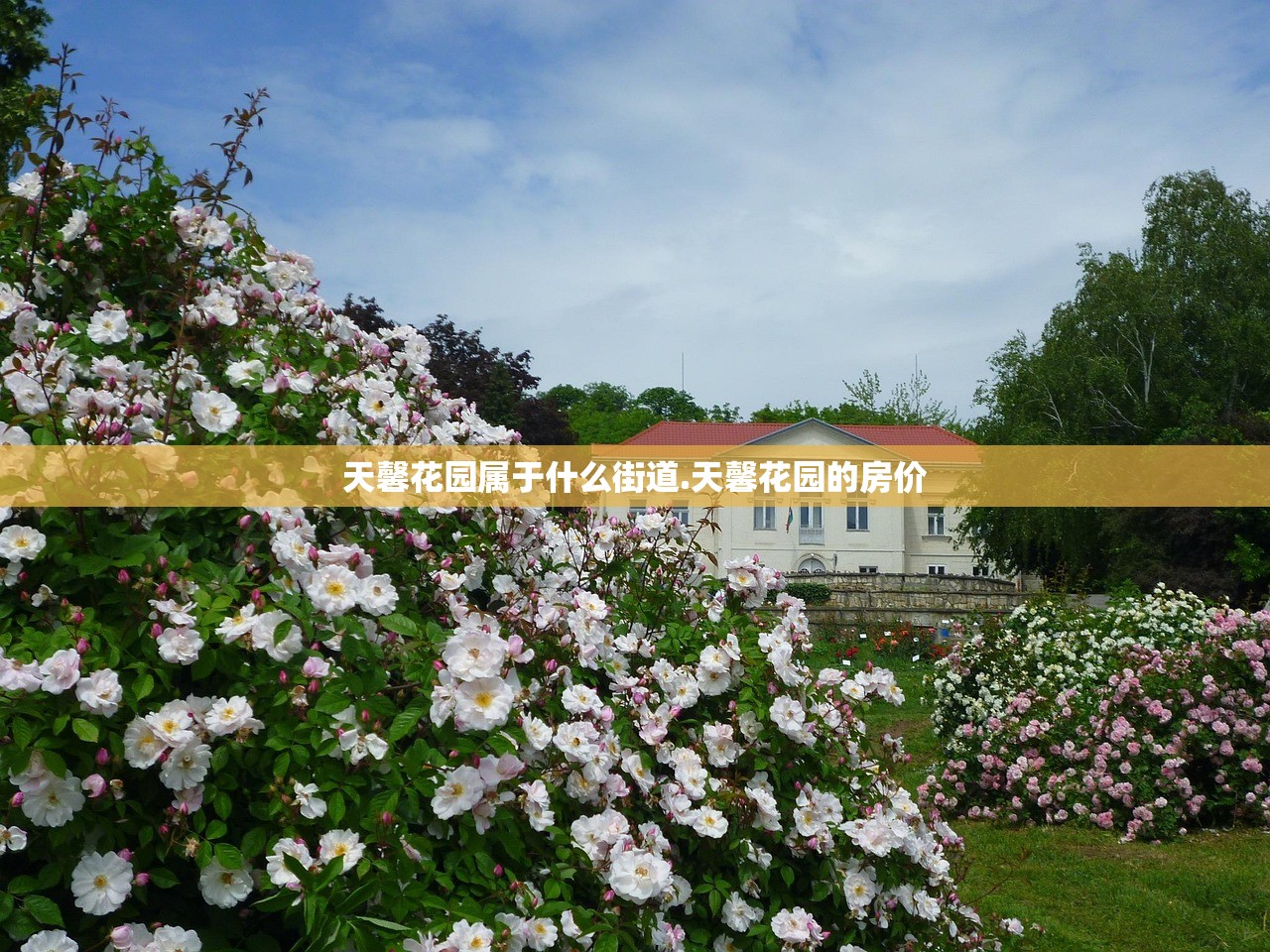天馨花园属于什么街道.天馨花园的房价