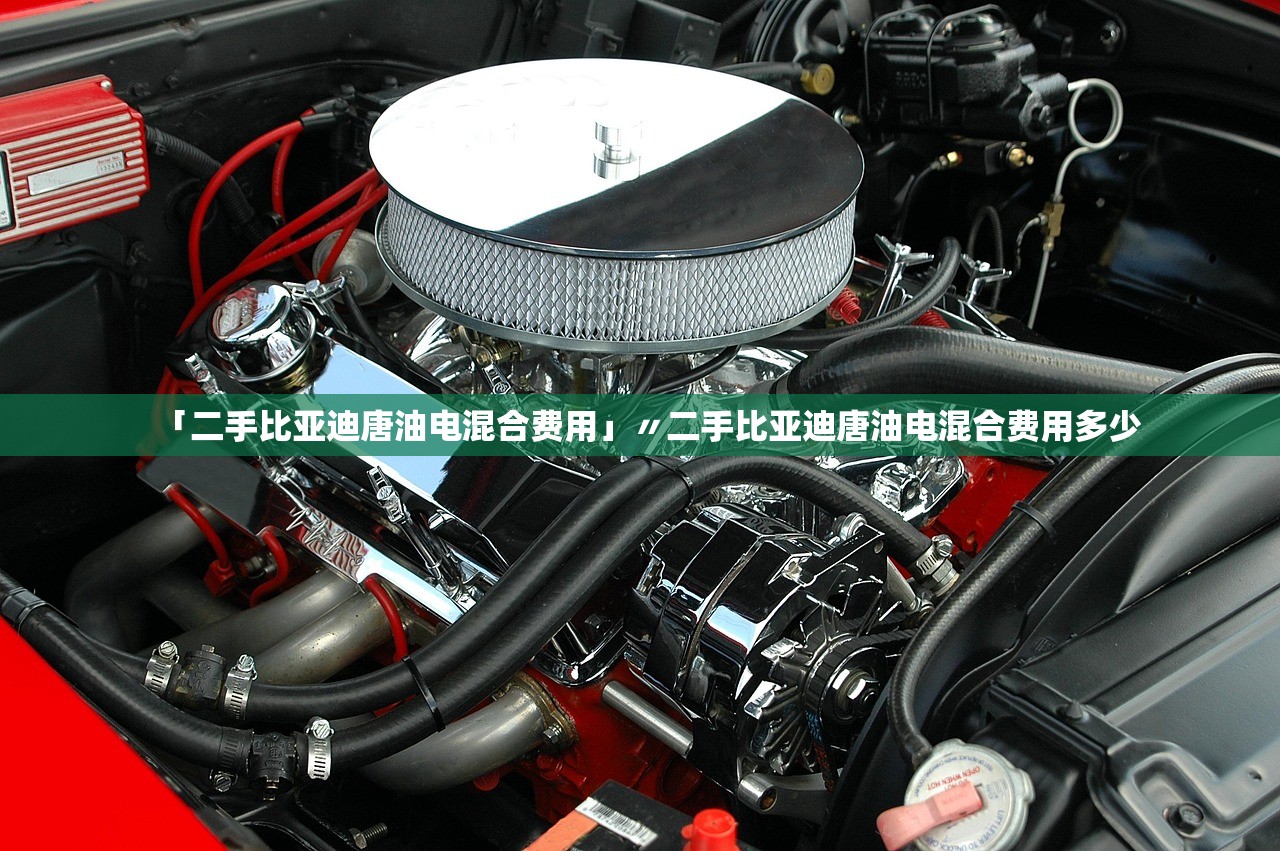 「二手比亚迪唐油电混合费用」〃二手比亚迪唐油电混合费用多少