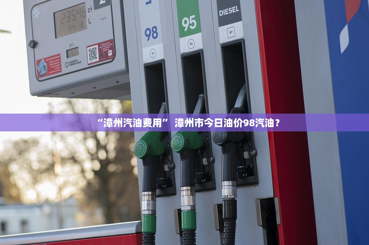“漳州汽油费用” 漳州市今日油价98汽油？