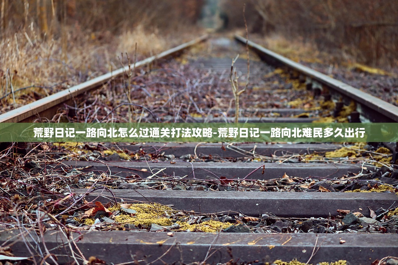 荒野日记一路向北怎么过通关打法攻略-荒野日记一路向北难民多久出行 荒野日记一路向北怎么过通关打法攻略-荒野日记一路向北难民多久出行