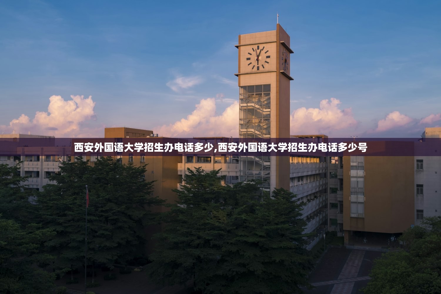 西安外国语大学招生办电话多少,西安外国语大学招生办电话多少号