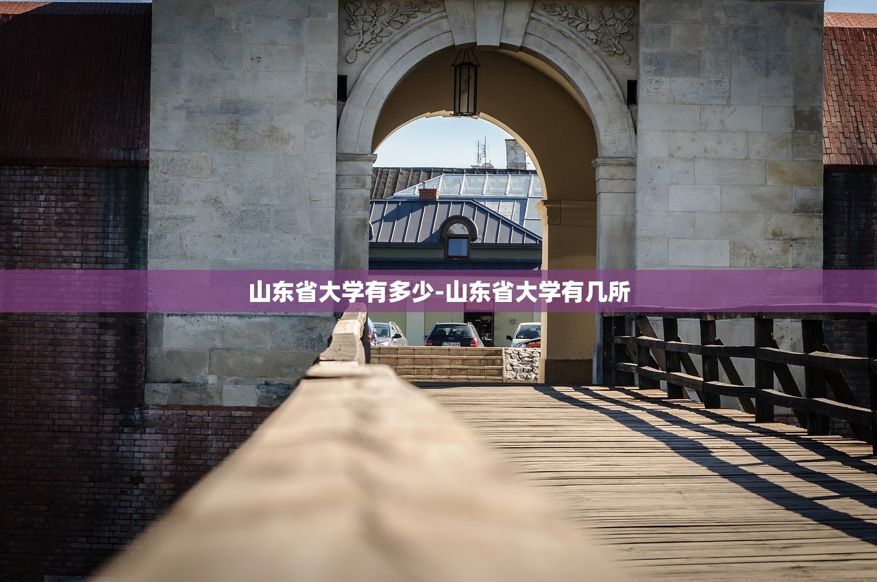 山东省大学有多少-山东省大学有几所 山东省大学有多少-山东省大学有几所
