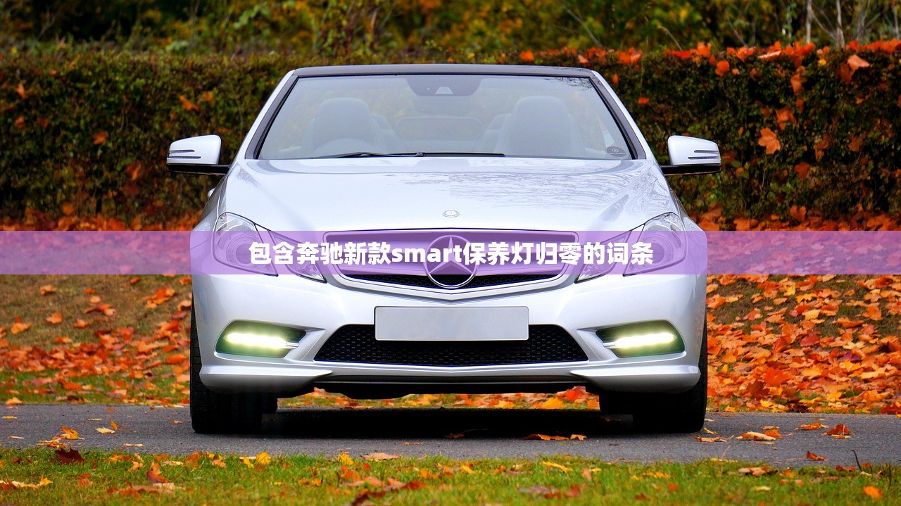 包含奔驰新款smart保养灯归零的词条