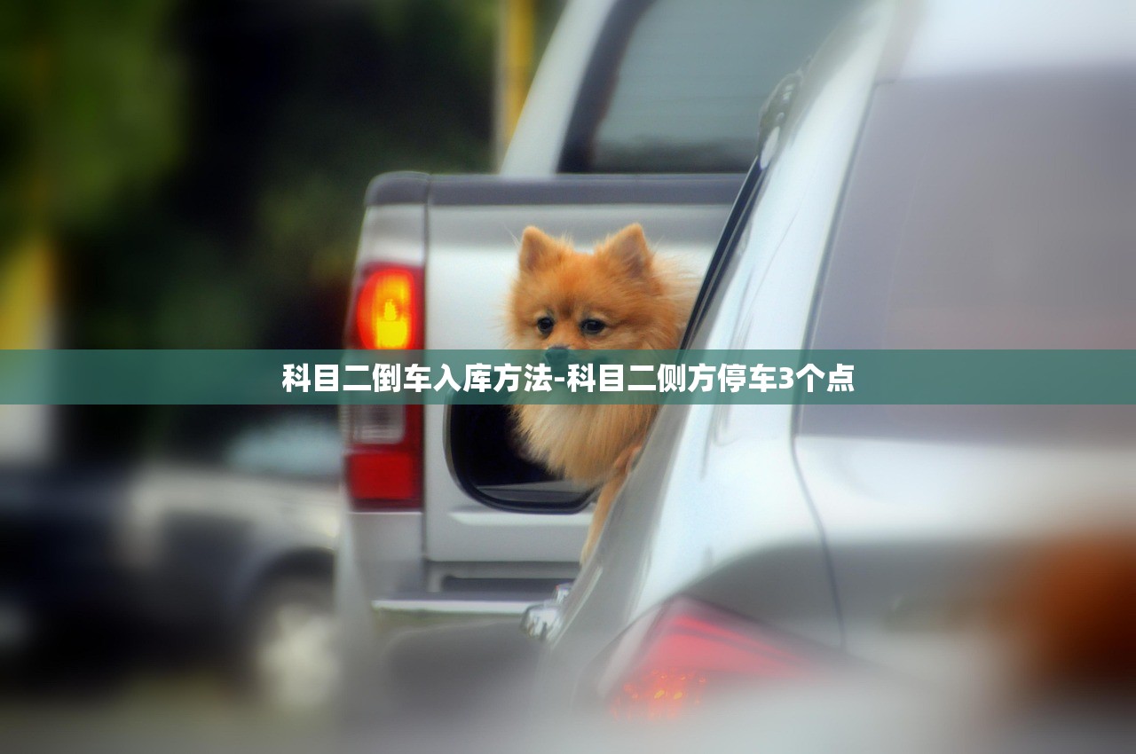科目二倒车入库方法-科目二侧方停车3个点 科目二倒车入库方法-科目二侧方停车3个点