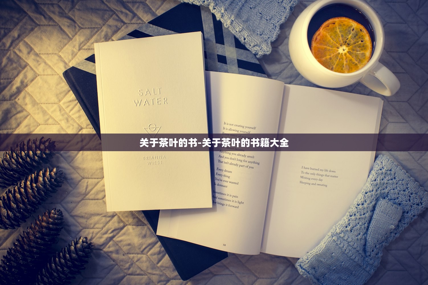 关于茶叶的书-关于茶叶的书籍大全 关于茶叶的书-关于茶叶的书籍大全