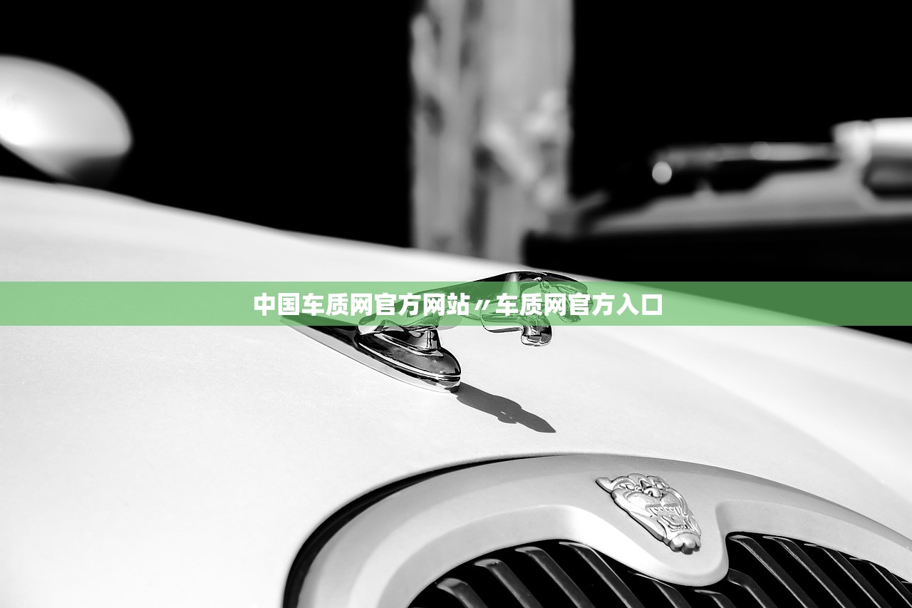 中国车质网官方网站〃车质网官方入口