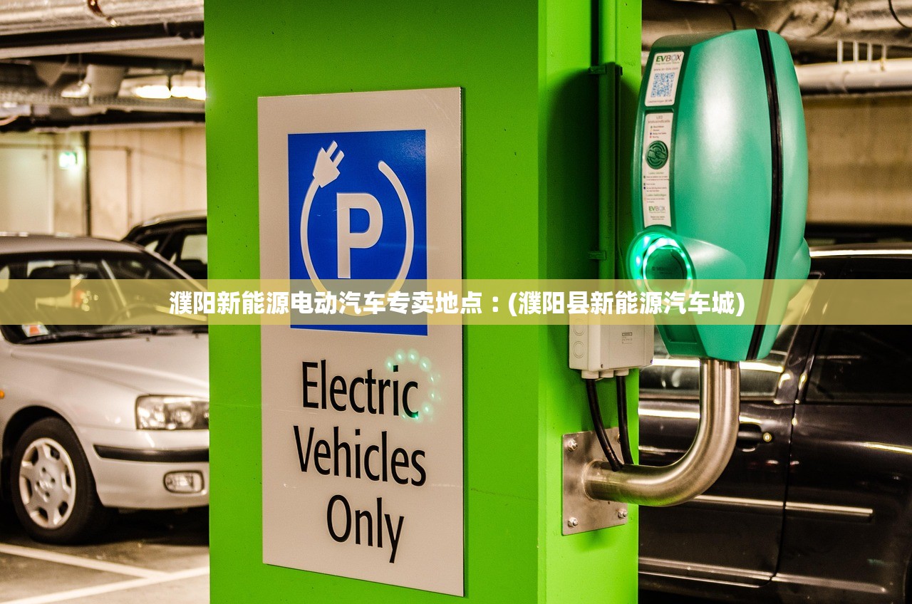 濮阳新能源电动汽车专卖地点︰(濮阳县新能源汽车城)