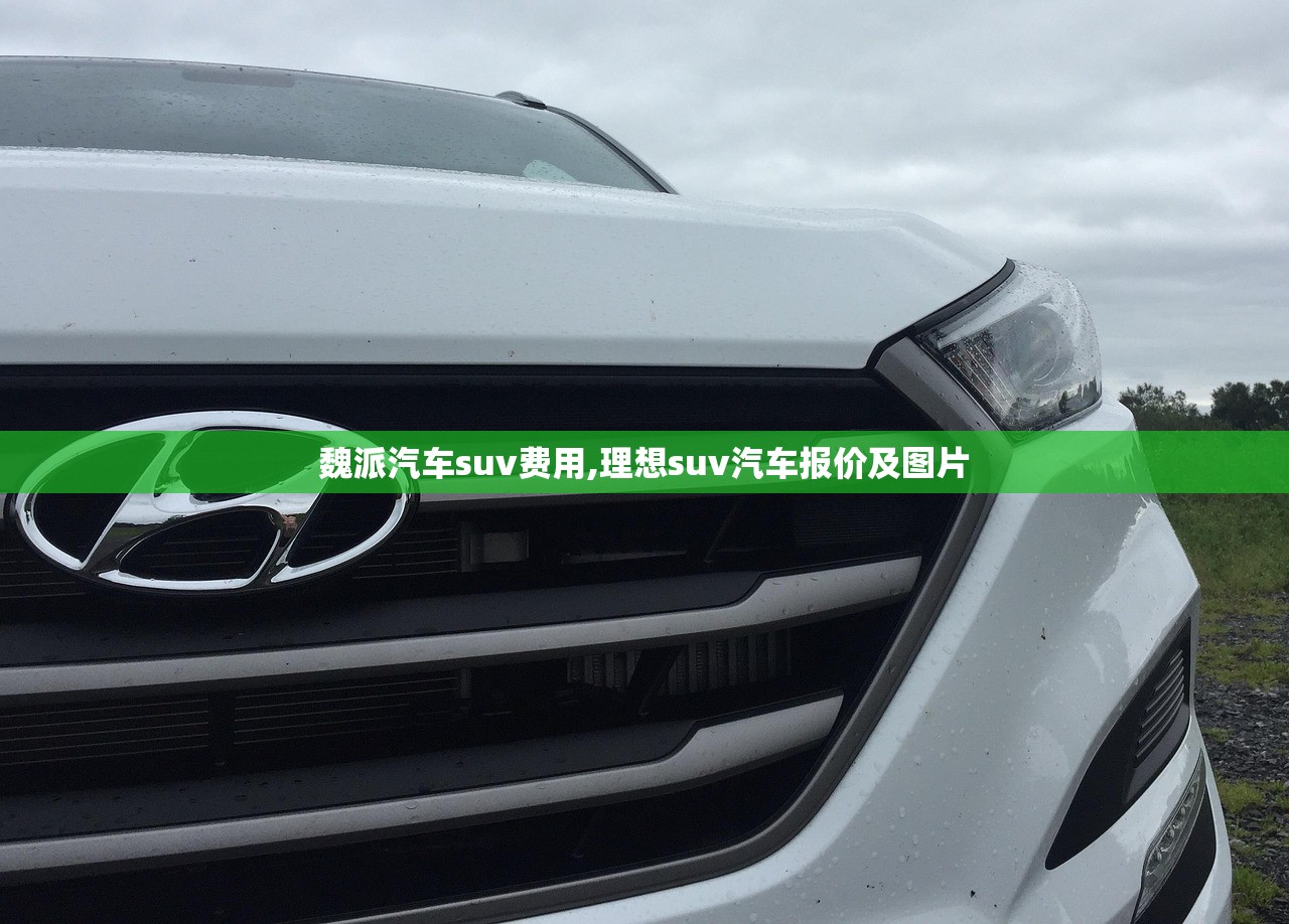 魏派汽车suv费用,理想suv汽车报价及图片