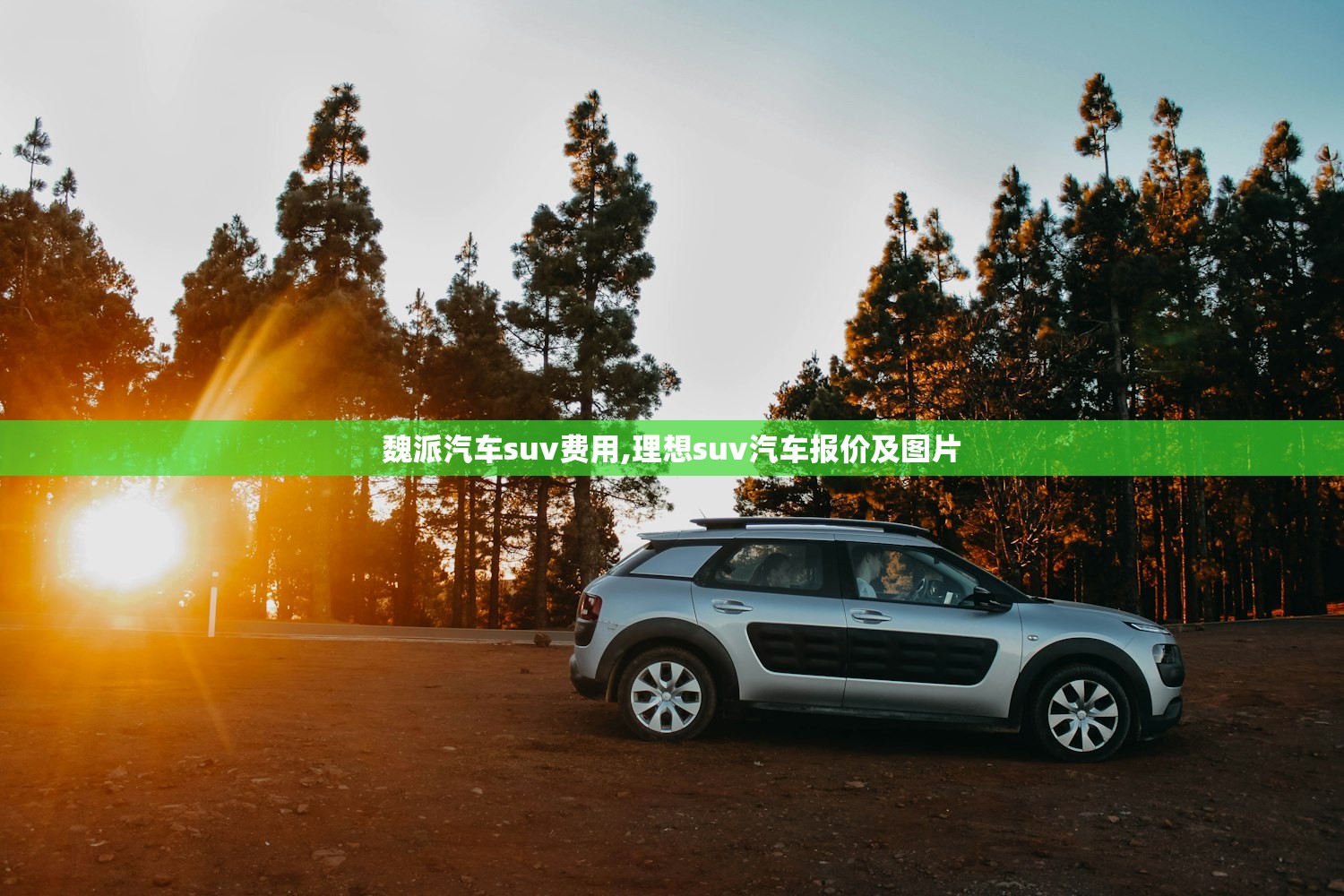 魏派汽车suv费用,理想suv汽车报价及图片