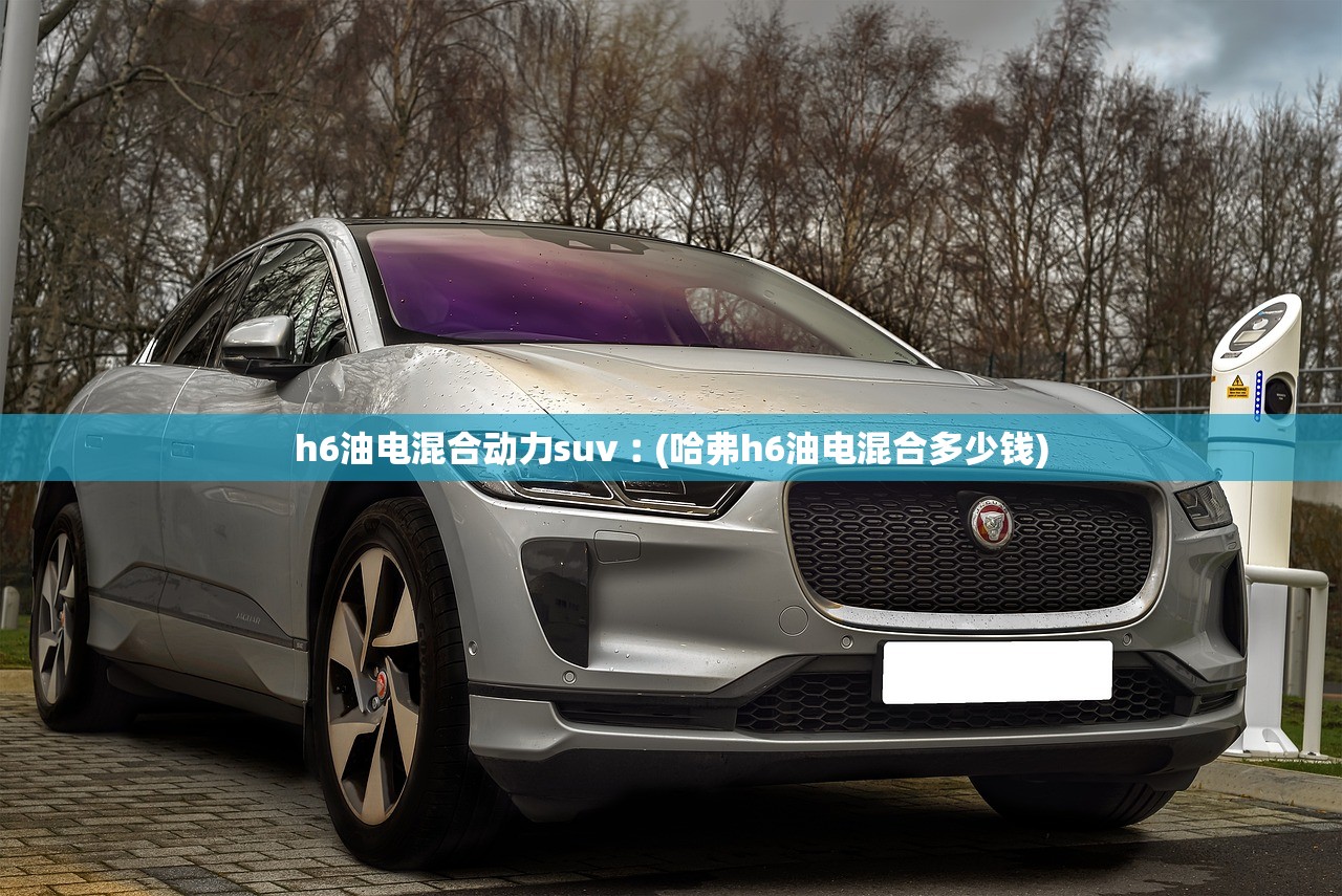 h6油电混合动力suv︰(哈弗h6油电混合多少钱)