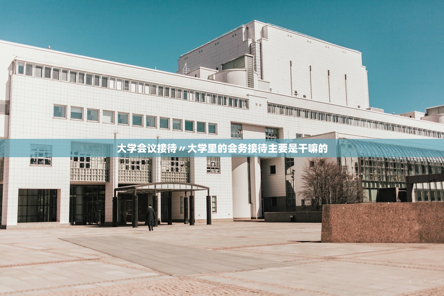 大学会议接待〃大学里的会务接待主要是干嘛的