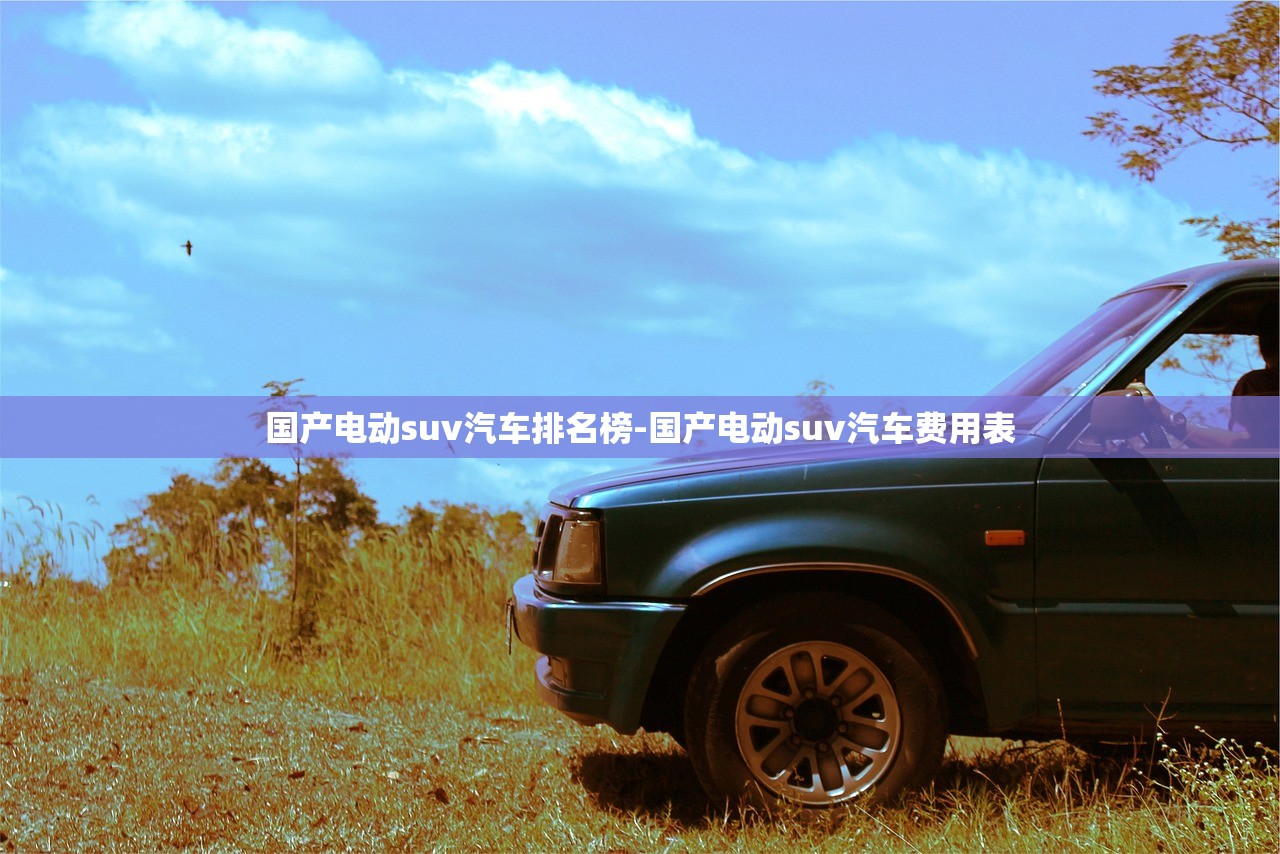 国产电动suv汽车排名榜-国产电动suv汽车费用表 国产电动suv汽车排名榜-国产电动suv汽车费用表