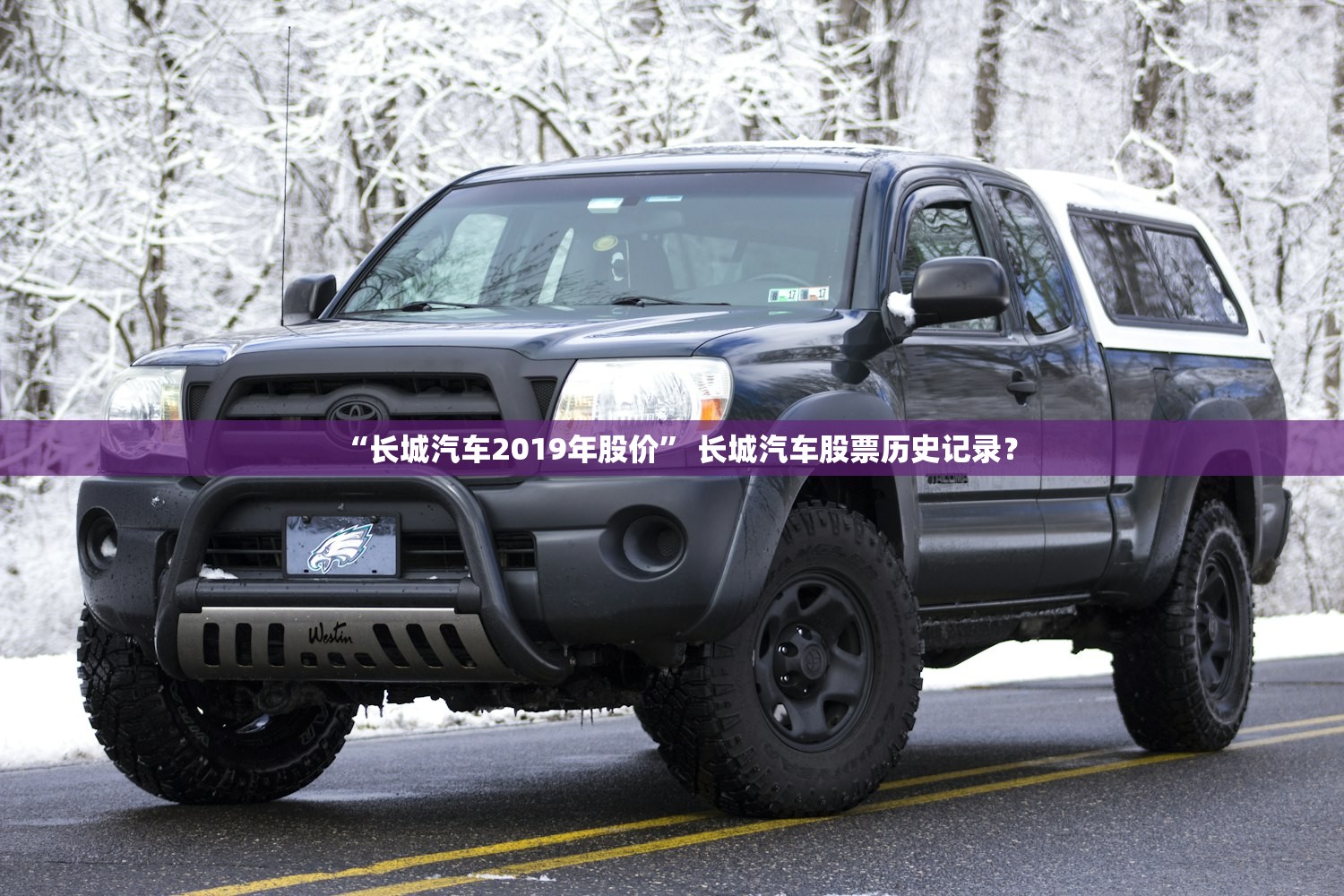 “长城汽车2019年股价” 长城汽车股票历史记录？