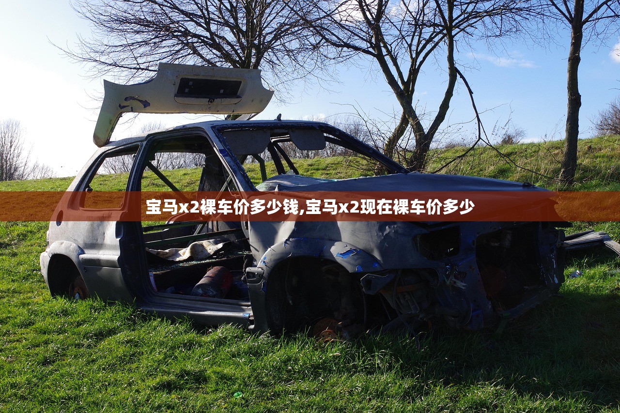 宝马x2裸车价多少钱,宝马x2现在裸车价多少 宝马x2裸车价多少钱,宝马x2现在裸车价多少