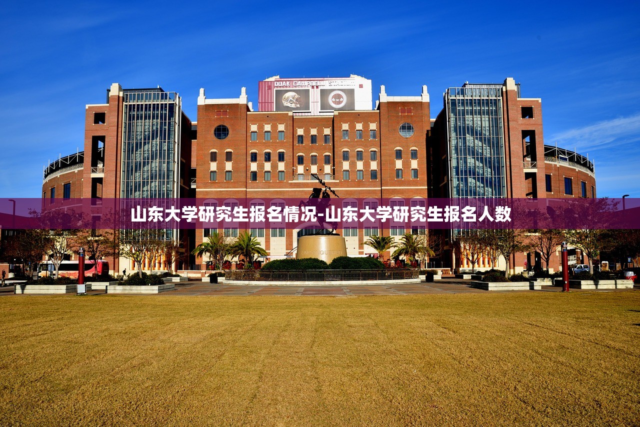山东大学研究生报名情况-山东大学研究生报名人数 山东大学研究生报名情况-山东大学研究生报名人数