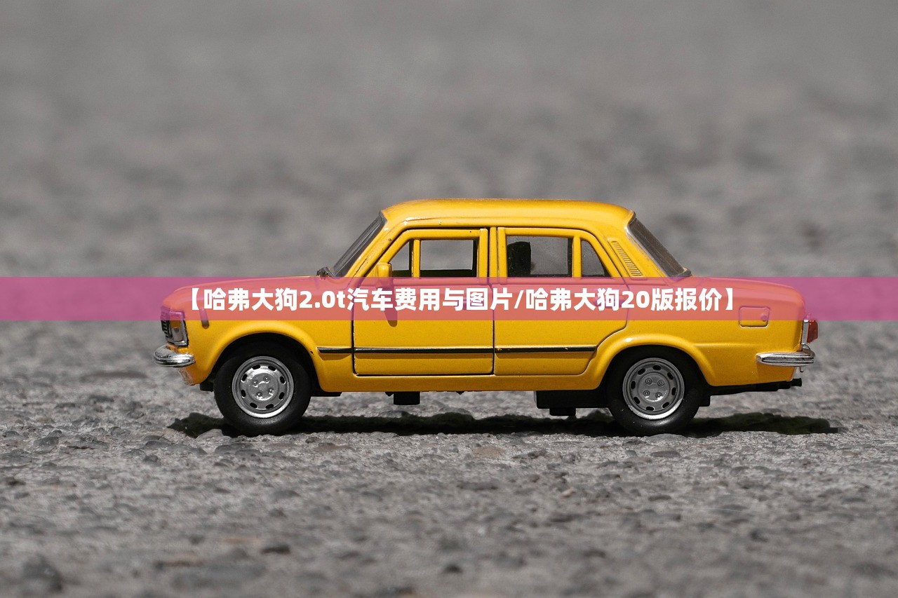 【哈弗大狗2.0t汽车费用与图片/哈弗大狗20版报价】