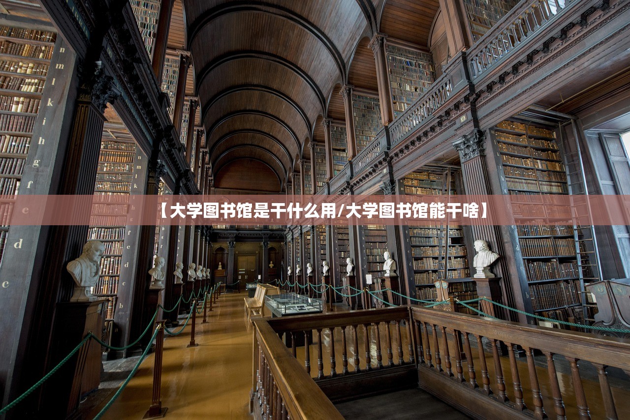 【大学图书馆是干什么用/大学图书馆能干啥】 【大学图书馆是干什么用/大学图书馆能干啥】