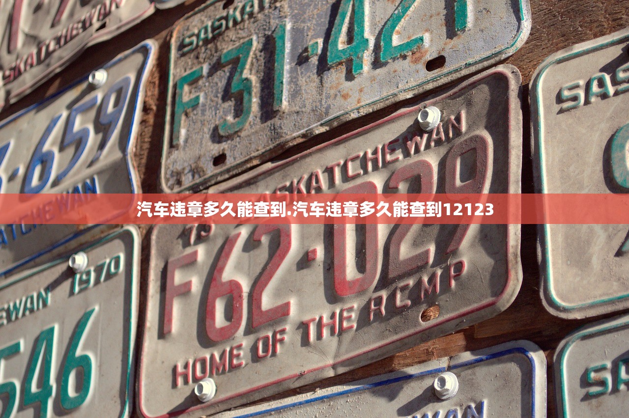 汽车违章多久能查到.汽车违章多久能查到12123